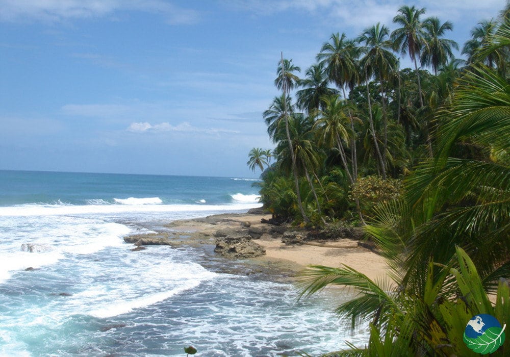 Day Tour to the Gandoca Manzanillo Wildlife Refuge in Costa Rica