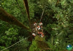 Canopy Tour with Canopy Safari