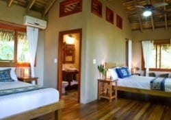 Copa de Arbol Coco Cabin