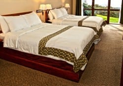 Hotel El Establo Deluxe Room