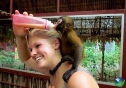 Kids Saving the Rainforest little monkey