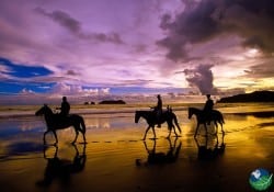 Horseback Riding Costa Rica Manuel Antonio Sunset