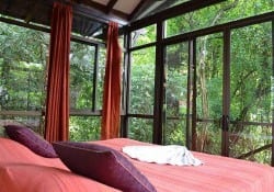 Anamaya Resort Jungle Cabin