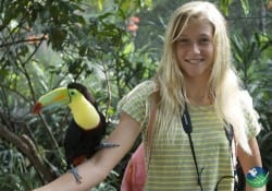 La Paz Waterfall Gardens Toucan