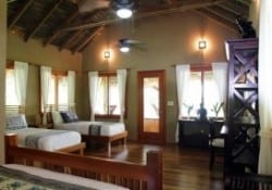 Copa de Arbol Mango Cabin