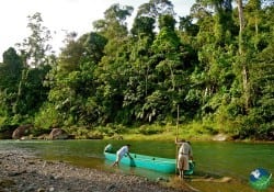 Reserva Indígena Misha Yorkin en Cahuita