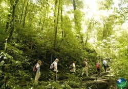 Monteverde Travel Packages