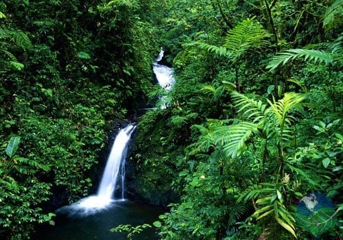 Norte de Costa Rica Monteverde