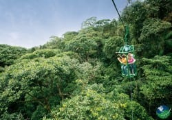Teleféricos del Bosque Lluvioso