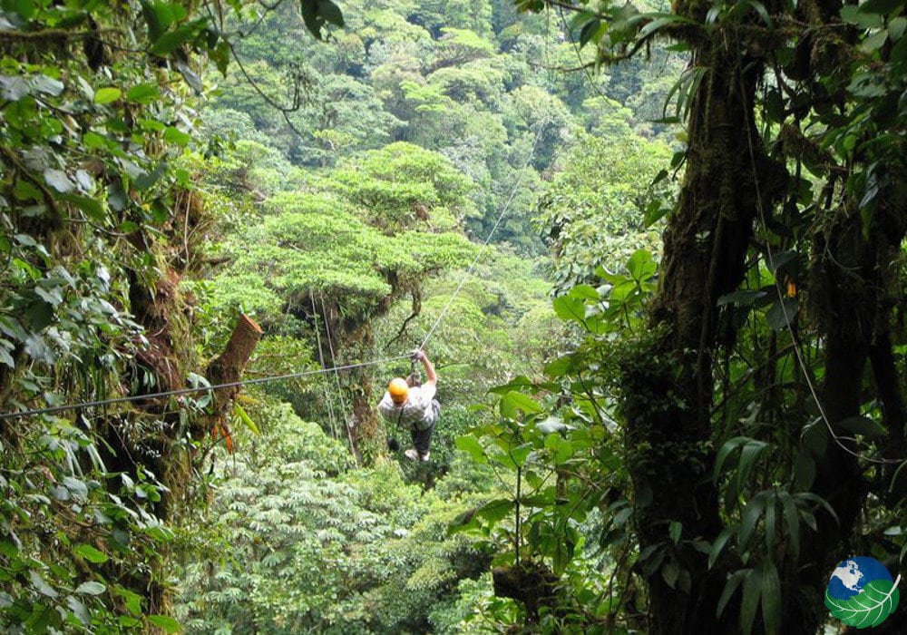 Selvatura Canopy Tour In Monteverde Costa Rica Amazing Zip Lining