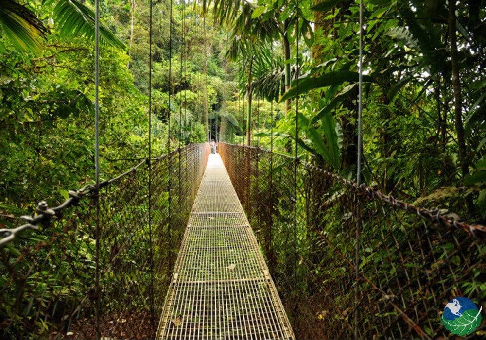 Arenal Hanging Bridges in Costa Rica