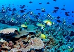 snorkeling in Costa Rica