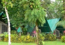 Corcovado Adventures Tent Camp Luxury Tents