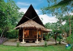 Tree House Lodge Picture