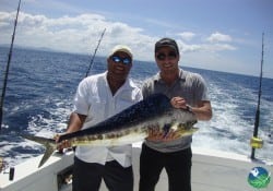 Yellowfin Sportfishing