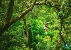 Manuel Antonio Canopy Tour Costa Rica