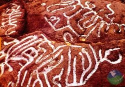 Guayabo archaeological drawings