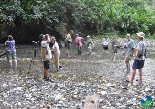 Costa Rica birding