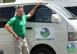 private transfer drivers and buses