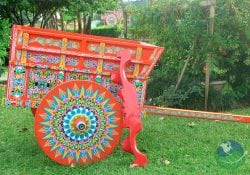 The best of Doka, Grecia & Sarchí (Oxcart factory) with Expediciones Tropicales