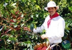 Monteverde Coffee Tour