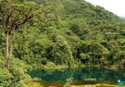 Bajos del Toro Juan Castro Blanco National Park