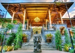 Bodhi Tree Yoga Resort