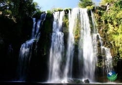 Waterfalls Summer Day with Jacamar