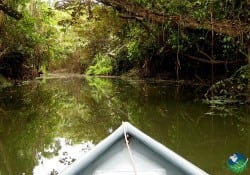 Barra del Colorado slow moving Boat