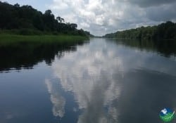 Costa Rican Rivers, Sarapiqui River, Savegre River, and Tenorio River