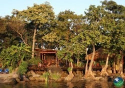 Jicaro Island Ecolodge Surrounded by trees
