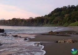 Cabo Matapalo
