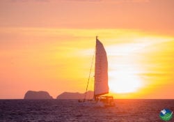 Sunset Cruise Panache