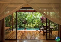 Springs Villa Plunge Pool