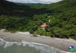 Hotel Sugar Beach