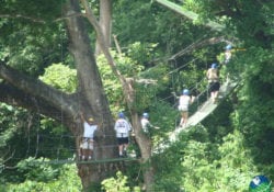 Canopy Papagayo