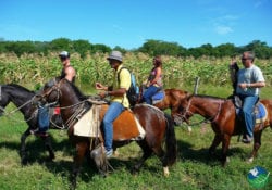 Guanacaste Horseback Riding