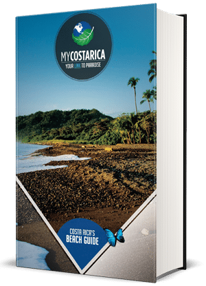 Beaches PDF Guide
