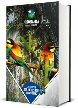 Birding PDF Cover