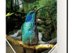 Costa Rica PDF Cover