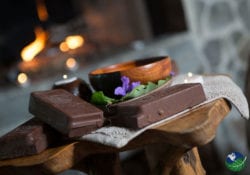 Golden Gecko Spa Lost Iguana Resort