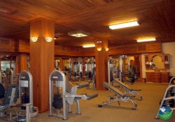 Gym The Springs