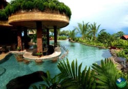 La Laguna Bar The Springs