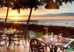 Matapalo Restaurant Tamarindo Diria