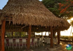 Media Luna Tamarindo Diria