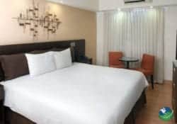 Hotel Presidente