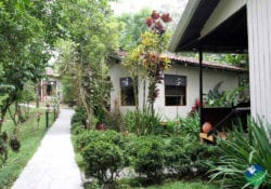 Standard Room Kokoro Arenal