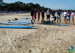 Surf Lesson with Arenas Adventures