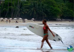 Surf Lesson at Tamarindo Beach with Jacamar