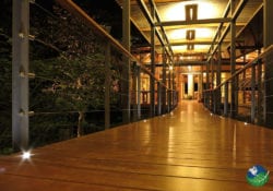 Yoga Platform Rio Perdido